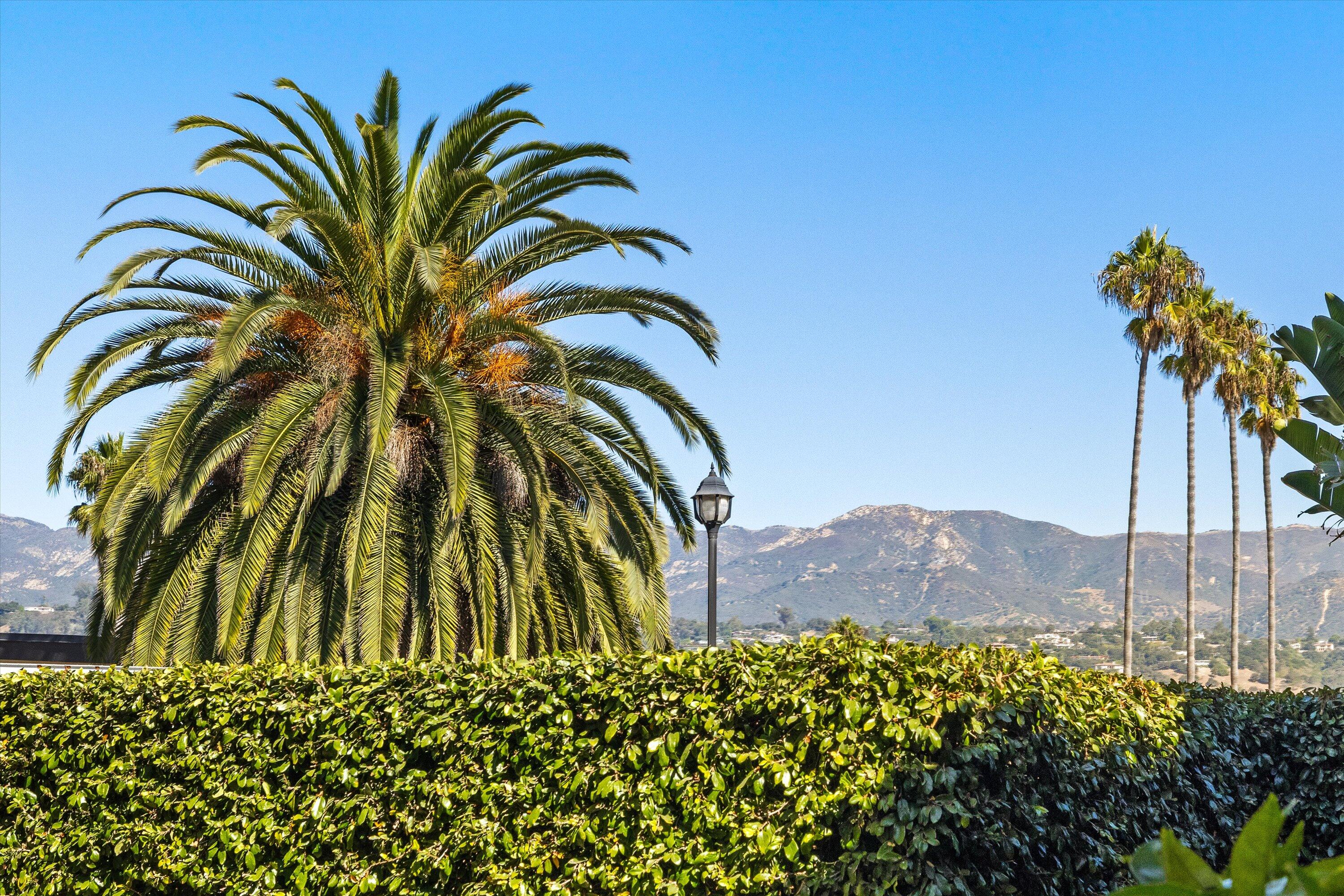 618 Anacapa Street, 4